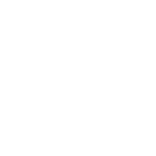 DeWebPro